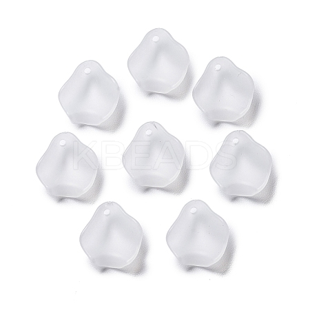 Frosted Acrylic Pendants OACR-G014-02-1