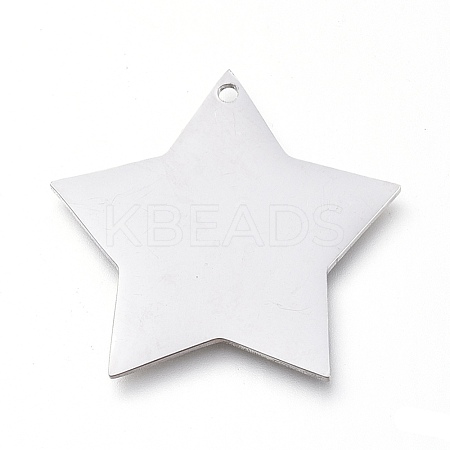 Tarnish Resistant 304 Stainless Steel Pendants STAS-L238-108B-P-1