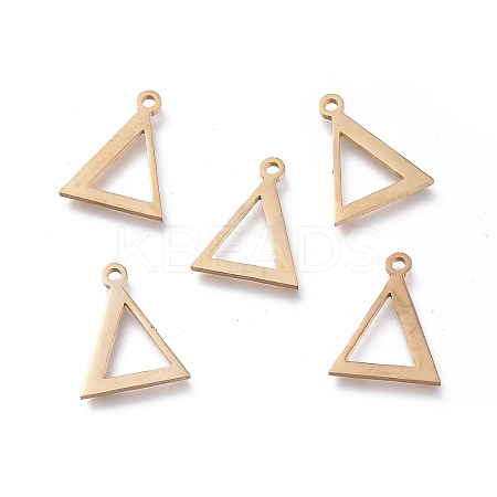 304 Stainless Steel Charms LS-STAS-K215-06G-1
