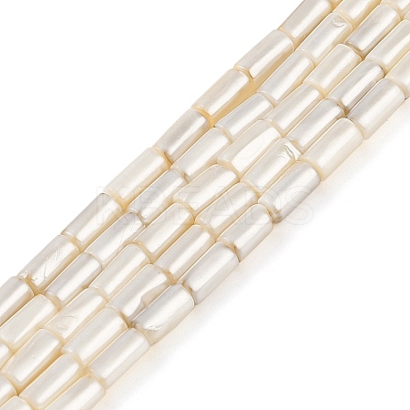 Electroplated Natural Freshwater Shell Beads Strands BSHE-G036-23-1