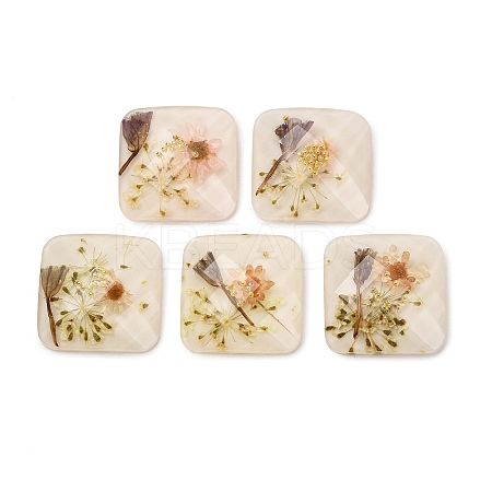 Transparent Resin Cabochons RESI-K033-12B-1