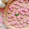 Handmade Lampwork Beads PW-WGB1177-02-1
