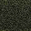 TOHO Round Seed Beads SEED-TR11-0037-2