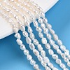 Natural Cultured Freshwater Pearl Beads Strands LS-PEAR-N014-03E-01-1