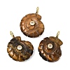 Natural Tiger Eye Carved Pendants G-C282-01O-1