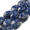 Natural Blue Spot Jasper Beads Strands G-M420-D08-01-1