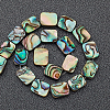 Natural Abalone Shell/Paua Shell Beads SSHEL-BC0001-10-4