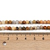 Natural Crazy Lace Agate Round Bead Strands G-P075-16-4mm-4