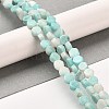 Natural Dolomite Beads Strands G-F765-G06-01-2