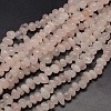 Nuggets Natural Rose Quartz Beads Strands X-G-P029-06-1