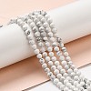 Natural Howlite Beads Strands G-E608-A01-C-5