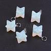 Opalite Pendants G-E398-02M-2