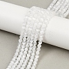Natural Selenite Beads Strands G-L552H-16C-5