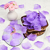 100G Satin Artificial Rose Petals DIY-SP0005-68D-5
