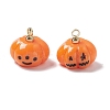 Halloween Opaque Resin Charms RESI-E018-01B-2