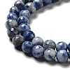 Natural Blue Spot Jasper Beads Strands G-P476-01B-02-4