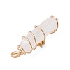 2Pcs 2 Styles Natural Quartz Crystal Double Terminated Pointed Pendants PALLOY-JF03122-05-5