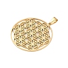 304 Stainless Steel Pendants STAS-P209-18-2