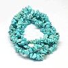 Chip Dyed Natural Howlite Bead Strands X-G-L454-06-2