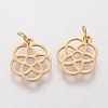 304 Stainless Steel Pendants LS-STAS-Q201-T454G-2