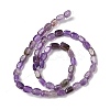 Natural Amethyst Beads Strands G-H087-D04-01-3