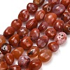 Natural Red Agate(Dyed & Heated) Beads Strands G-C287-A01-01-3