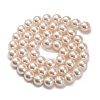 Baking Paint Pearlized Glass Pearl Round Bead Strands PEAR-H019-02C-02-2