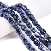 Natural Blue Spot Jasper Beads Strands G-T138-101-1
