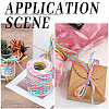 Segment Dyed Raffia Paper Cords for DIY Craft OCOR-WH20020-27C-6