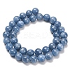 Natural Kyanite Beads Strands G-C259-B01-10mm-01-3