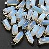 Opalite Pendants G-Z067-07P-03-5