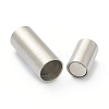 Tarnish Resistant 304 Stainless Steel Magnetic Clasps with Glue-in Ends STAS-B017-01C-P-2