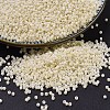 MIYUKI Delica Beads X-SEED-J020-DB0883-1