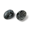 Natural Larvikite Cabochons G-A094-01B-07-2