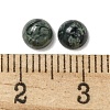 Natural Kambaba Jasper Cabochons G-Q173-01B-22-3