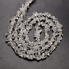 Natural Quartz Crystal Beads Strands G-P035-16-3