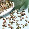 Natural Unakite Chip Beads G-O103-14-4