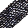 Natural Cultured Freshwater Pearl Beads Strands PEAR-XCP0001-19-2
