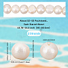 2 Strands Natural Cultured Freshwater Pearl Beads Strands PEAR-SC0001-28-2