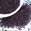 MIYUKI Delica Beads X-SEED-J020-DB0611-1