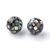 Natural Paua Shell Beads SSHEL-Q298-12mm-09-2