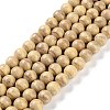 Natural Rainbow Alashan Agate Beads Strands G-NH0022-A06-02-1