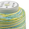 6-Ply Polyester Cord OCOR-L046-A17-2
