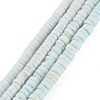 Sea Shell Beads Strands SSHEL-T014-49-1