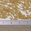 MIYUKI Delica Beads X-SEED-J020-DB0771-4
