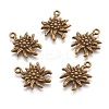 Tibetan Style Alloy Pendants LS-X-TIBEP-A113357-AB-FF-1