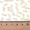 FGB Grade A Drawbench Style Glass Seed Beads SEED-Q040-01A-06-4