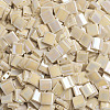 MIYUKI TILA Beads X-SEED-J020-TL488-4