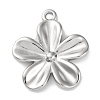 Anti-Tarnish 304 Stainless Steel Pendants STAS-K293-07P-1