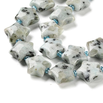 Natural Sesame Jasper/Kiwi Jasper Beads Strands G-NH0005-018-1
